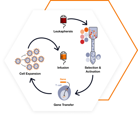 2014: Cellex entered into the field of Cell and Gene Therapy (CGT)